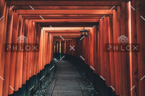 demo-attachment-58-tianshu-liu-395929-unsplash